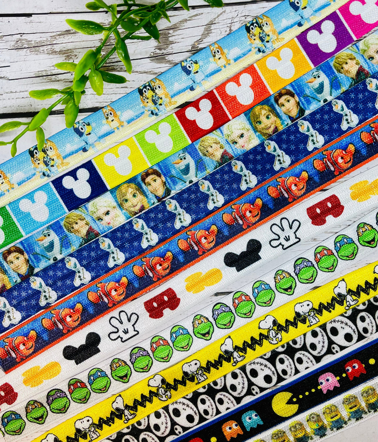 Themed 12 Pack Mystery Hair Ties