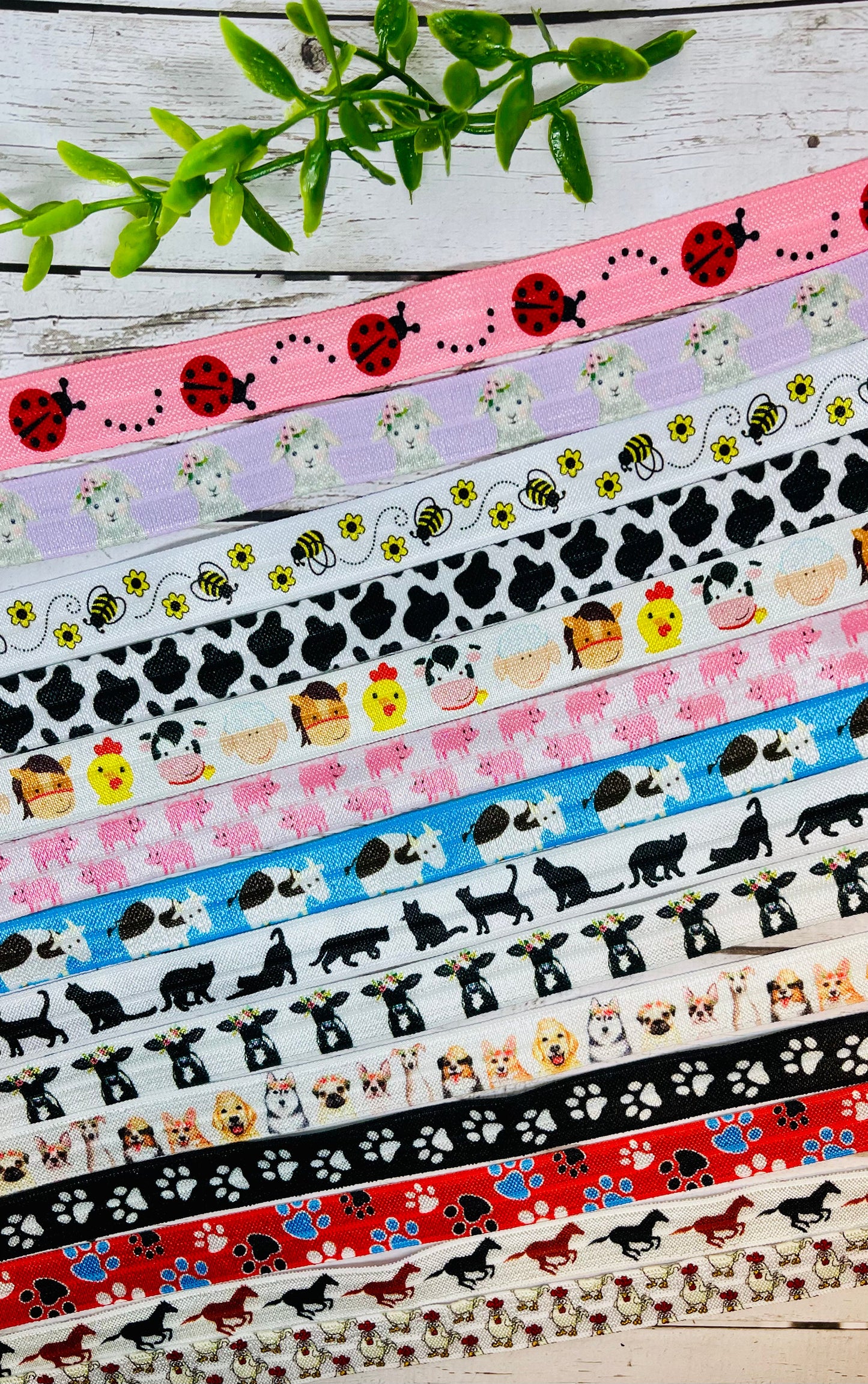 Themed 12 Pack Mystery Hair Ties